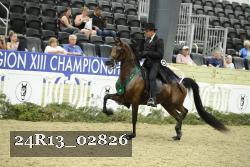 24R13_02826 thumbnail