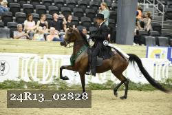 24R13_02828 thumbnail