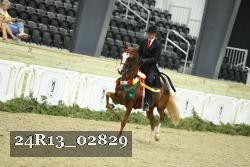24R13_02829 thumbnail