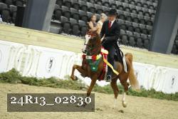 24R13_02830 thumbnail