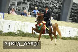 24R13_02831 thumbnail