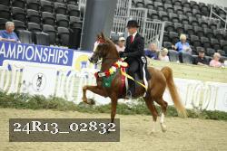 24R13_02832 thumbnail