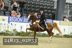 24R13_02833 thumbnail