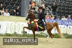 24R13_02834 thumbnail