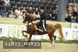 24R13_02835 thumbnail