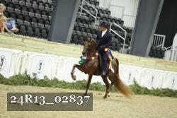 24R13_02837 thumbnail