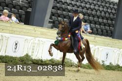 24R13_02838 thumbnail