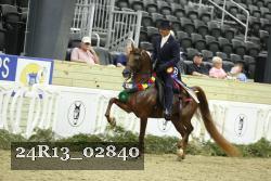 24R13_02840 thumbnail