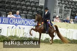 24R13_02841 thumbnail