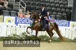 24R13_02843 thumbnail