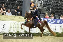 24R13_02844 thumbnail