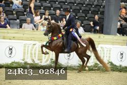 24R13_02846 thumbnail