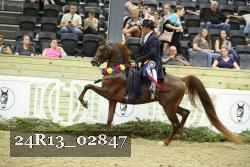 24R13_02847 thumbnail