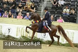 24R13_02848 thumbnail