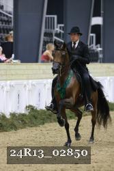 24R13_02850 thumbnail
