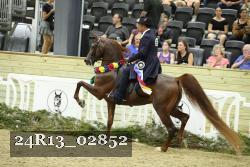 24R13_02852 thumbnail