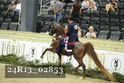 24R13_02853 thumbnail