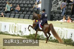 24R13_02854 thumbnail