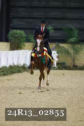 24R13_02855 thumbnail