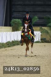24R13_02856 thumbnail