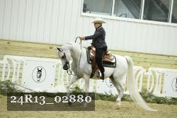 24R13_02880 thumbnail