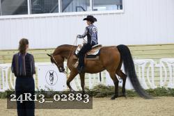 24R13_02883 thumbnail