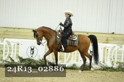 24R13_02886 thumbnail