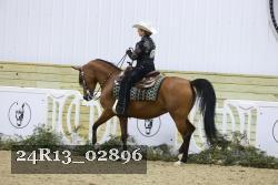 24R13_02896 thumbnail
