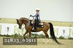 24R13_02911 thumbnail