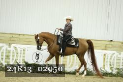 24R13_02950 thumbnail