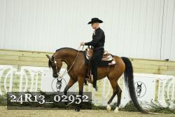 24R13_02952 thumbnail