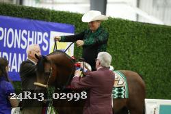 24R13_02998 thumbnail