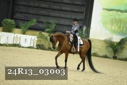 24R13_03003 thumbnail