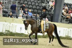 24R13_03009 thumbnail