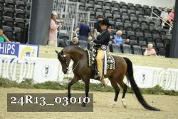 24R13_03010 thumbnail