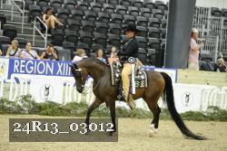 24R13_03012 thumbnail