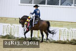 24R13_03014 thumbnail