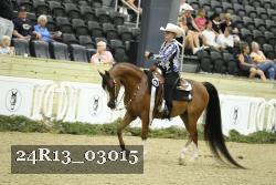 24R13_03015 thumbnail