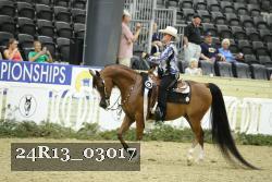 24R13_03017 thumbnail