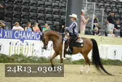 24R13_03018 thumbnail