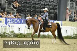 24R13_03019 thumbnail