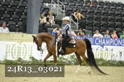 24R13_03021 thumbnail