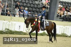 24R13_03026 thumbnail