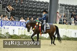 24R13_03029 thumbnail
