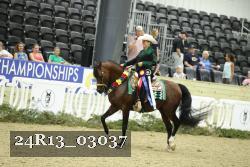 24R13_03037 thumbnail