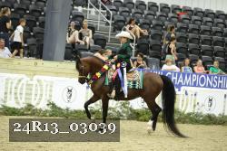 24R13_03039 thumbnail