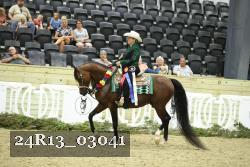 24R13_03041 thumbnail