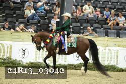 24R13_03042 thumbnail