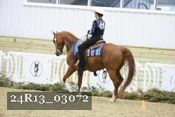 24R13_03072 thumbnail