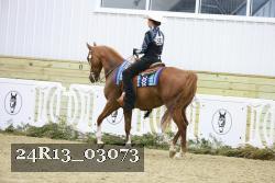 24R13_03073 thumbnail